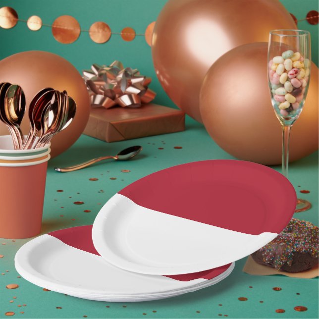 Assiettes En Carton Drapeau de Monaco (Multi)