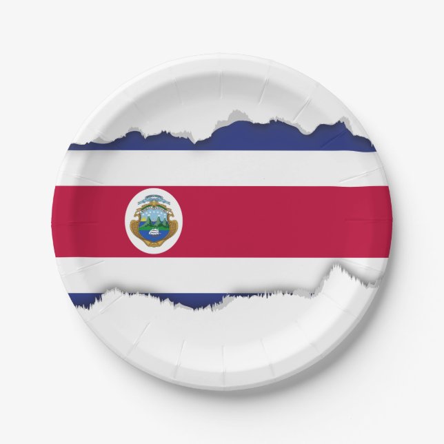 Assiettes En Carton Drapeau de Rican de côte (Devant)