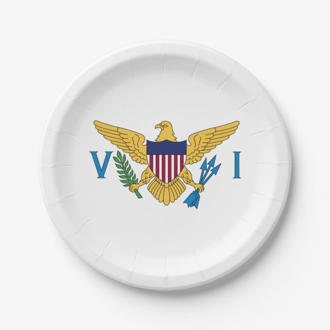 Assiettes En Carton Drapeau des îles Vierges américaines patriotiques (Devant)