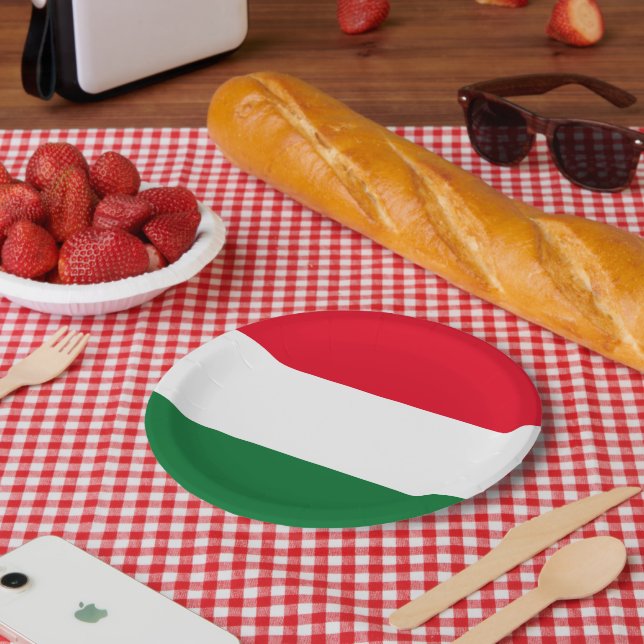 Assiettes En Carton Drapeau hongrois plaque de fête de papier coutume  (Pique-nique)