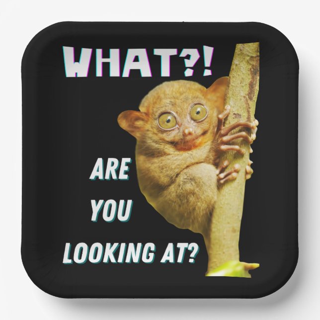 Assiettes En Carton Drôle Big Eyed Tarsier Ce que vous regardez (Recto)