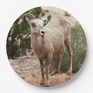 Assiettes En Carton Drôle Mouton de Bighorn dans le parc national Zion