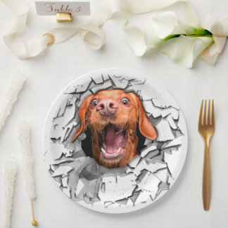 Assiettes En Carton Drôle visage chien