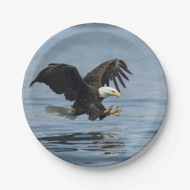 Assiettes En Carton Eagle à l'approche (Devant)