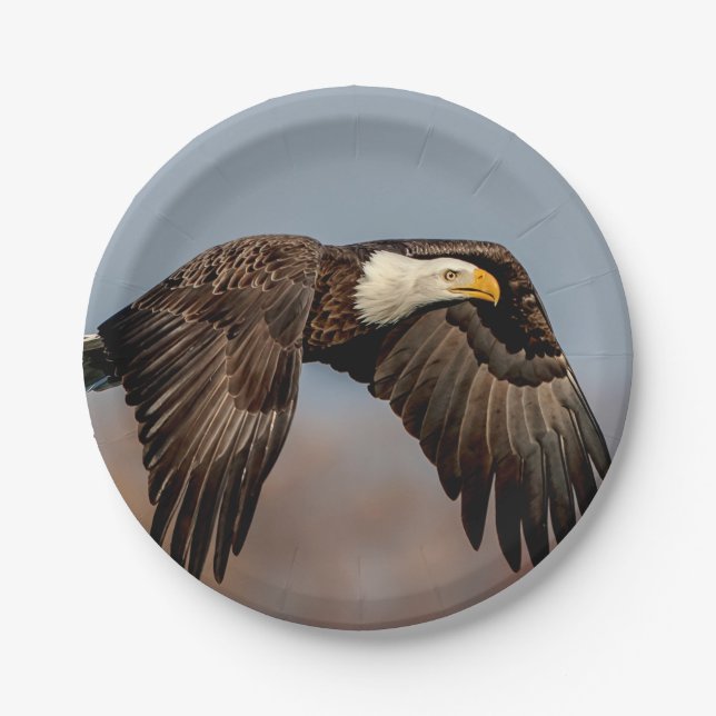 Assiettes En Carton Eagle chauve en vol (Devant)