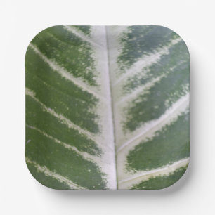 Assiettes En Carton Eco Harmony 7" Plaque papier Carré