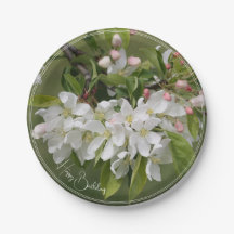 Élégante floraison blanche