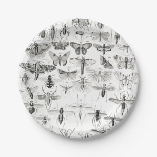Assiettes En Carton Entomologie noire et blanche Insectes Bugs