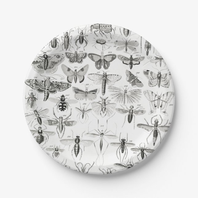 Assiettes En Carton Entomologie noire et blanche Insectes Bugs (Devant)