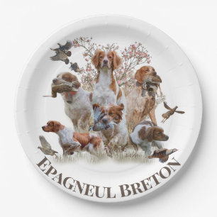 Assiettes En Carton Epagneul Breton, Bretagne Espagne