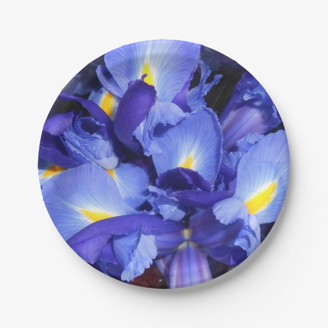 Assiettes En Carton Ermengarde (Devant)