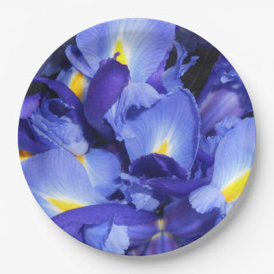 Assiettes En Carton Ermengarde