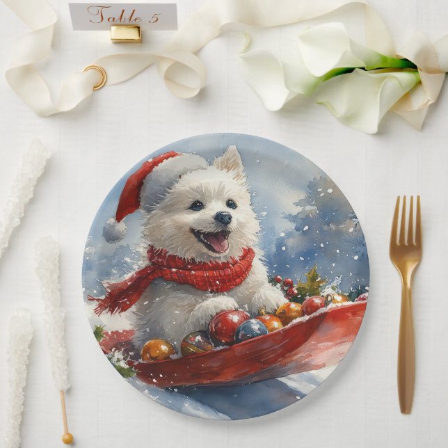 Assiettes En Carton Esquimau américain dans la boue Laisser il neige N (Mariage)
