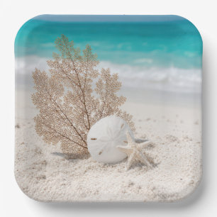 Assiettes En Carton Éventail de mer avec dollar de sable et étoile de