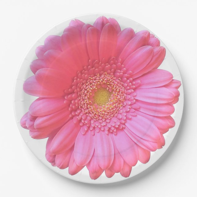 Assiettes En Carton Faisée de gerbera rose (Devant)