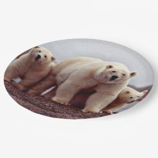 Assiettes En Carton Famille d'ours polaires