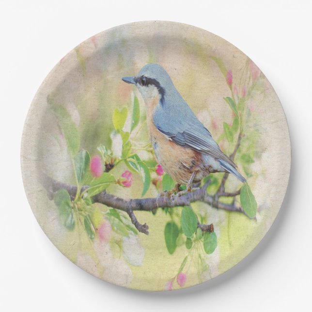 Assiettes En Carton Fanatique d'oiseaux (Devant)