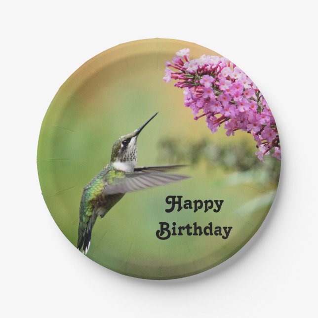 Assiettes En Carton Faune Hummingbird Floral Photo Anniversaire (Devant)
