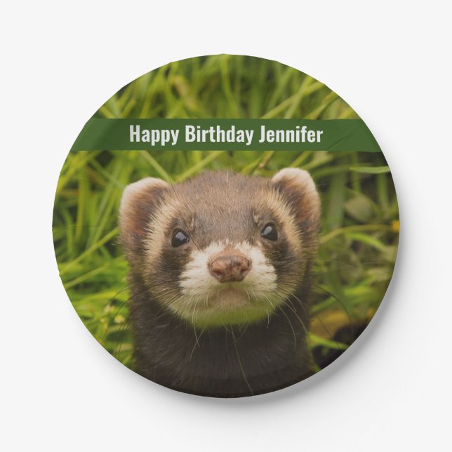Assiettes En Carton Ferret Brown dans l'herbe Joyeux anniversaire (Devant)