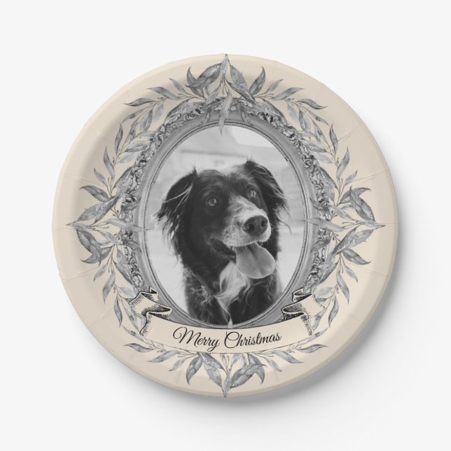 Assiettes En Carton Festif Holiday Silver Frame Photo (Devant)