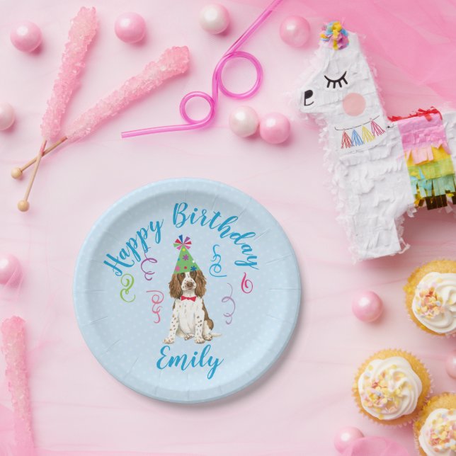 Assiettes En Carton Fête d'anniversaire Anglais Springer Spanie Plaque (Fête)