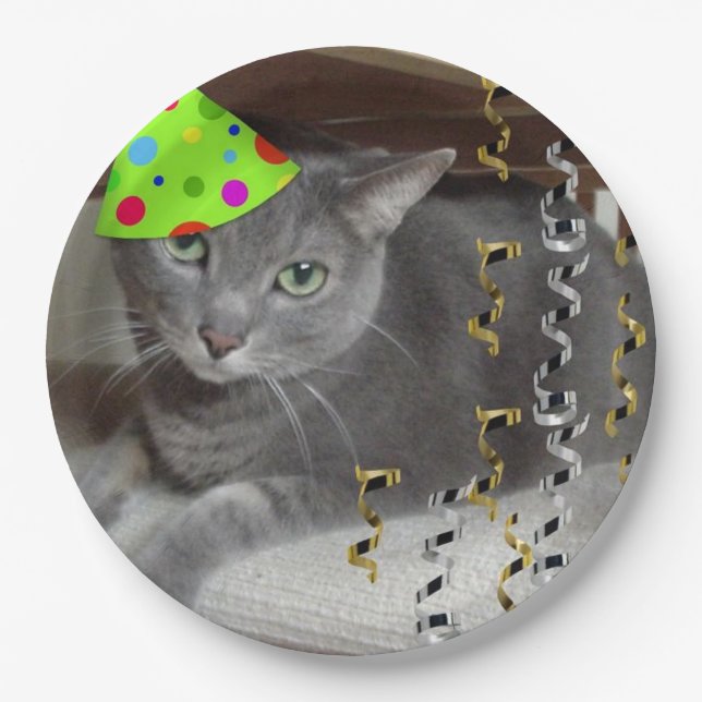 Assiettes En Carton Fête d'anniversaire Russe Bleu Chat (Devant)