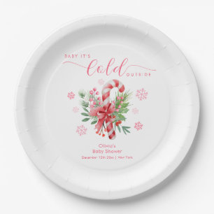 Assiettes En Carton Fête de la Neige Rose Fille Bonbon Bébé 