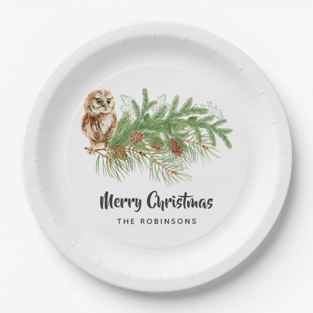 Assiettes En Carton Fête de Noël du hibou de l'aquarelle (Devant)