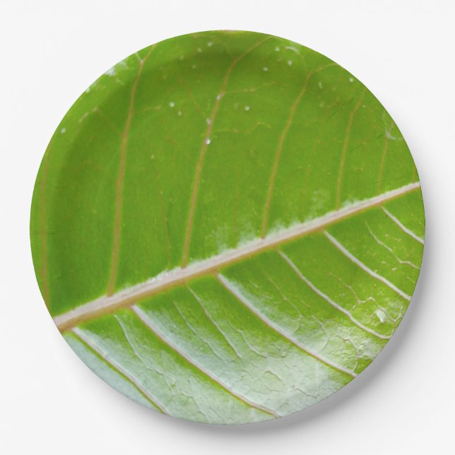 Assiettes En Carton Feuille verte écologique 9" ronde (Devant)