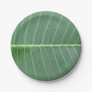 Assiettes En Carton Feuille verte et ligne blanche claire Conception 7