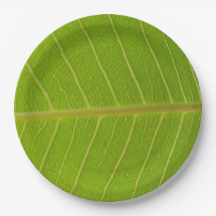 Assiettes En Carton Feuille verte naturelle et ligne jaune clair Desig