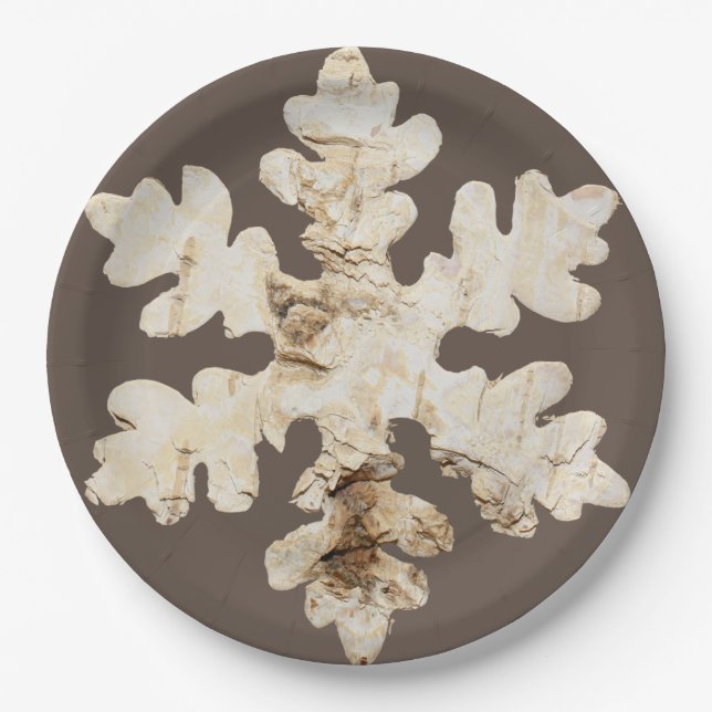 Assiettes En Carton Flacon de neige de Birchwood d'hiver rustique brun (Devant)