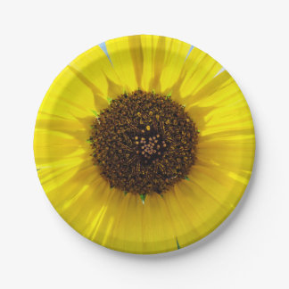 Assiettes En Carton Flamme de matin