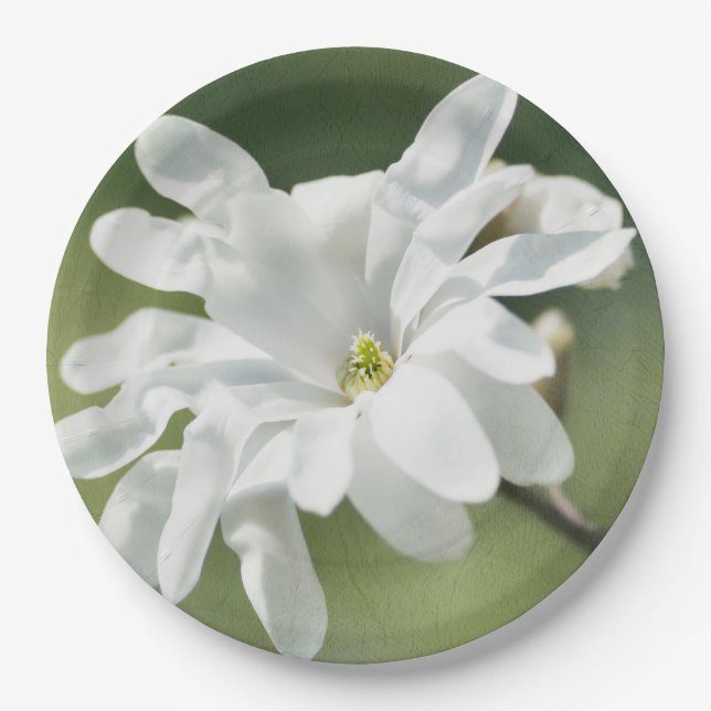 Assiettes En Carton Fleur blanche de Magnolia (Devant)