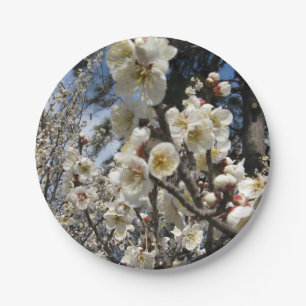 Assiettes En Carton Fleur de cerisier blanc / Sakura / ク(桜)