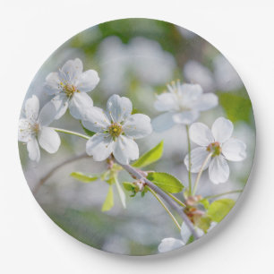 Assiettes En Carton Fleur de cerisier blanche