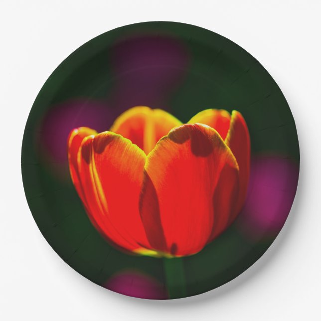 Assiettes En Carton Fleur de tulipe rouge (Devant)