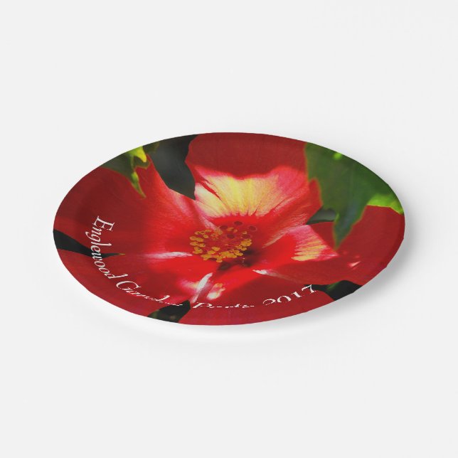 Assiettes En Carton Fleur d'Hibiscus rouge au soleil (Angle)