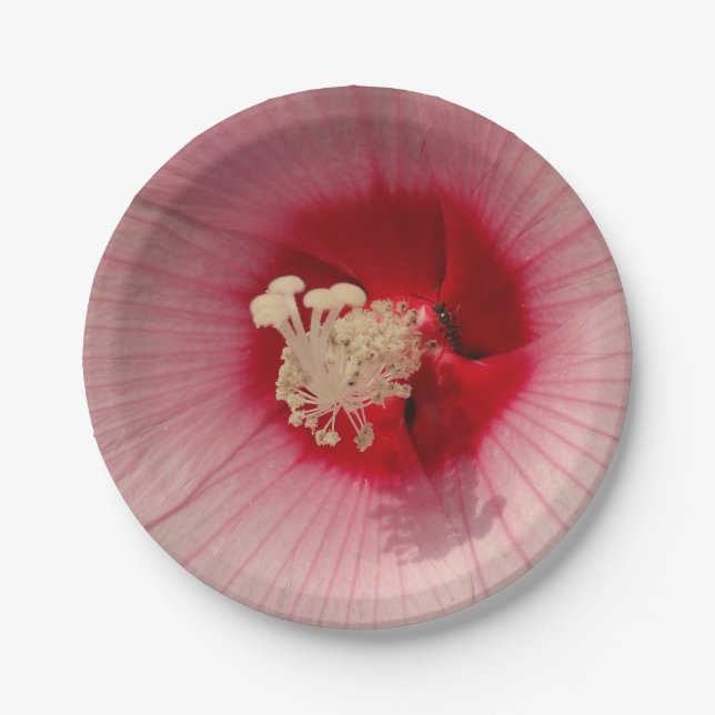 Assiettes En Carton Fleur rose Gros plan Photo Belles Plaques en papie (Devant)