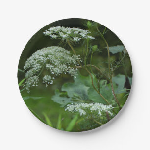 Assiettes En Carton Fleur sauvage de dentelle de la Reine Anne en ét