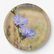 Fleurs sauvages le matin