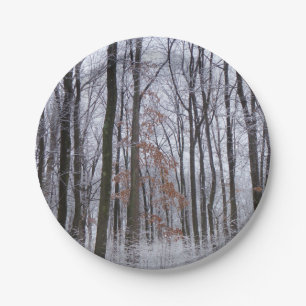 Assiettes En Carton Forêt huppée neige paysage d'hiver Photographie