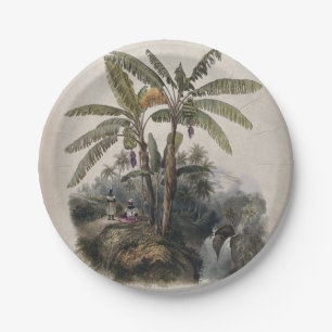 Assiettes En Carton Forêt tropicale antique de bananiers   Bota vintag