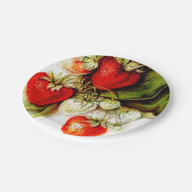 Assiettes En Carton fraise Vintage (Angle)
