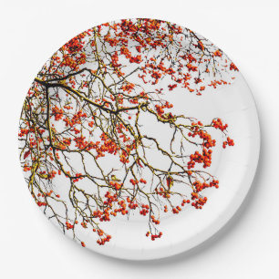 Assiettes En Carton Fruits de sorbier rouge ou baies de sorbier