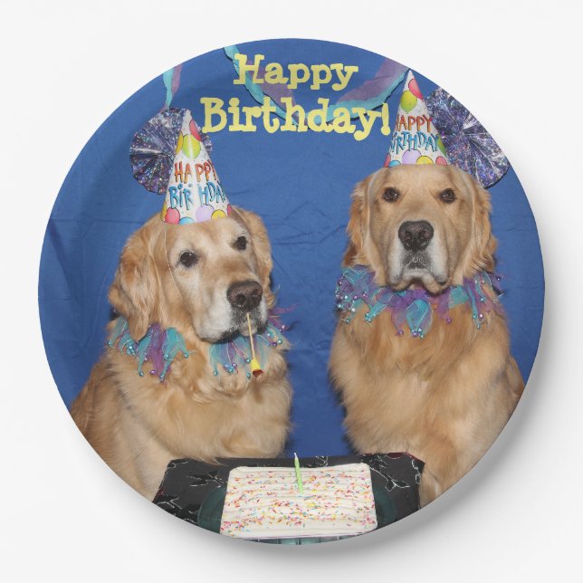 Assiettes En Carton Gâteau de joyeux anniversaire de chiens d'arrêt (Devant)