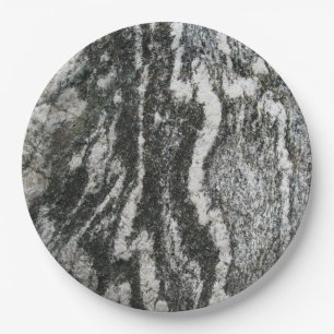 Assiettes En Carton Géologie Grey Rock Décor Feline Motif Melami