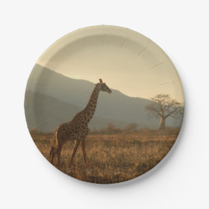 Assiettes En Carton Giraffe dans la Savannah