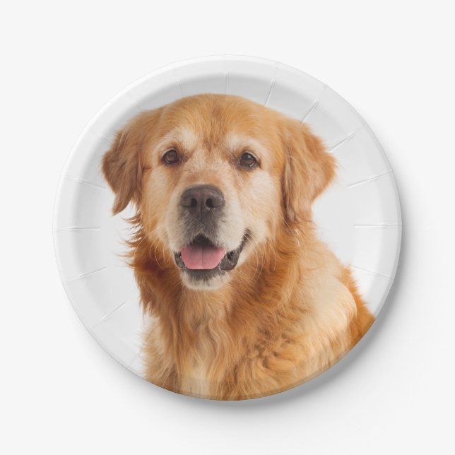 Assiettes En Carton Golden Retriever Chien Chien Chien Mariage (Devant)
