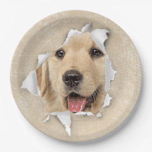 Assiettes En Carton Golden Retriever in Paper Hole